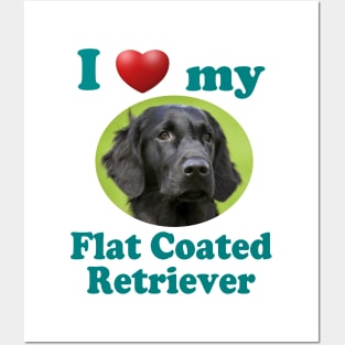 I Love My Flat Coated Retriever Posters and Art